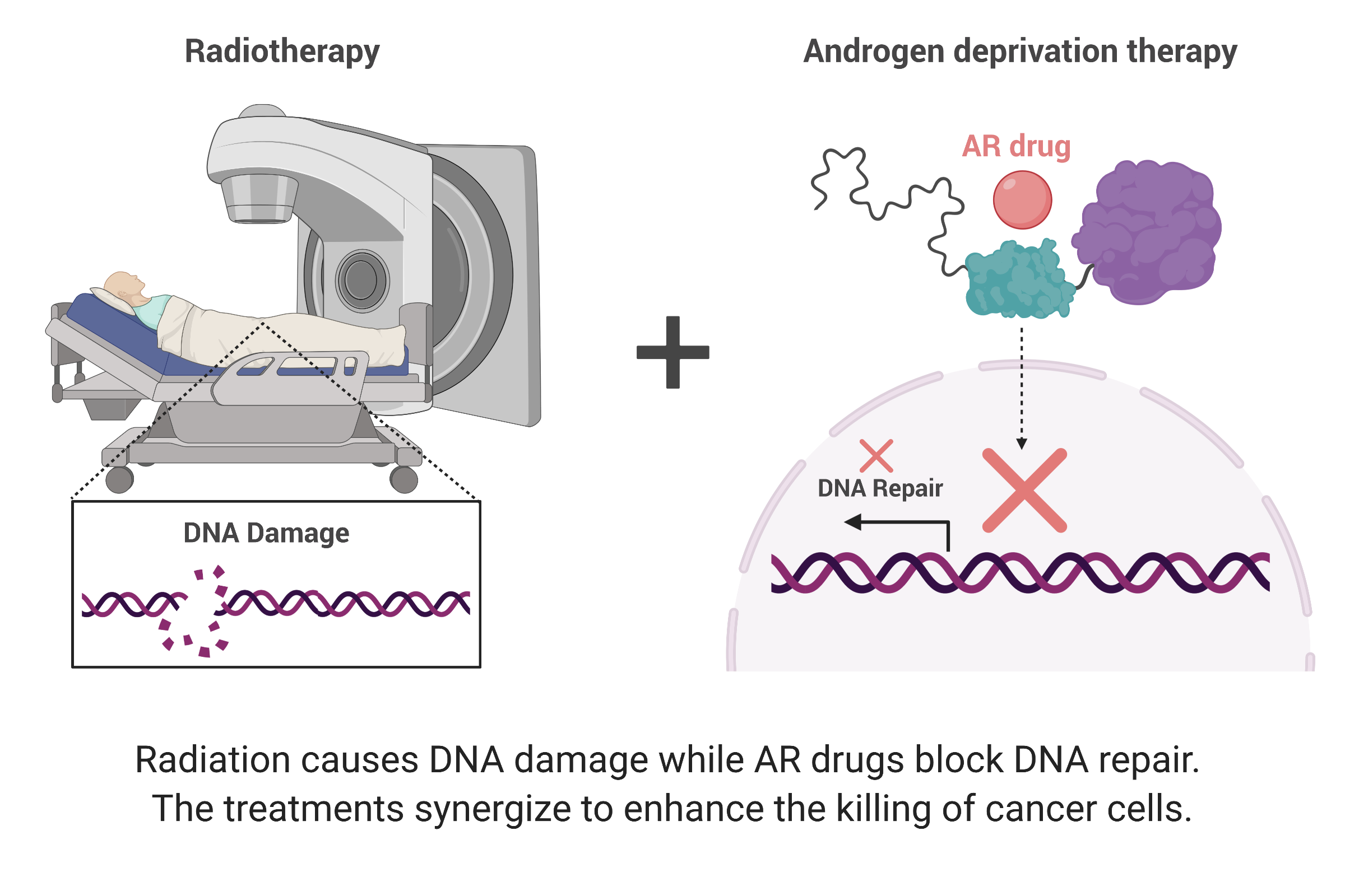 Cancer Drug Synergizes With Radiation Therapy In Treatment Resistant